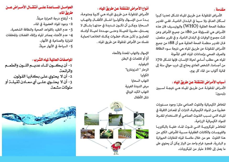 مطوية عن البيئة من حولنا3