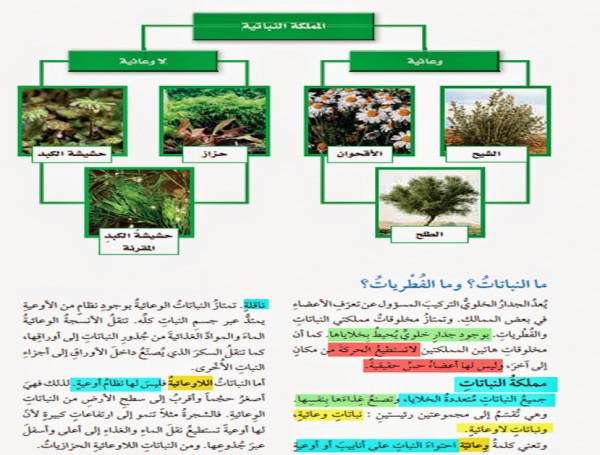 مطويات عن النظام البيئي1