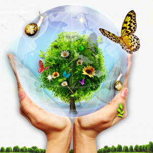 مطويات عن البيئة