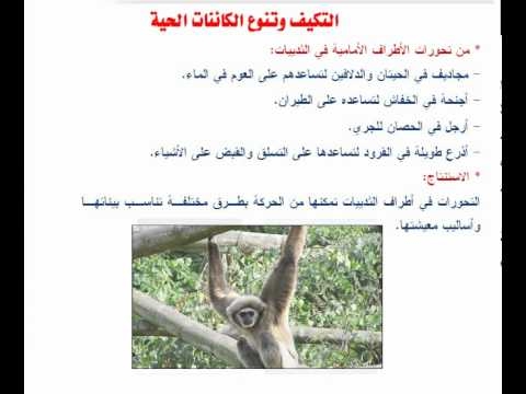مطوية علوم ثالث ابتدائي التكيف3