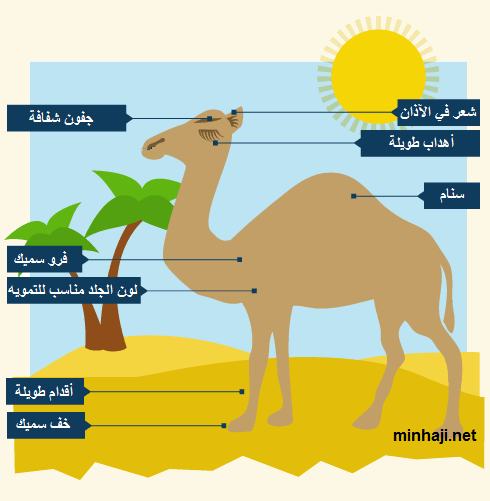 مطوية علوم ثالث ابتدائي التكيف4