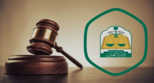 استعلام عن طلب تنفيذ برقم الفاتورة