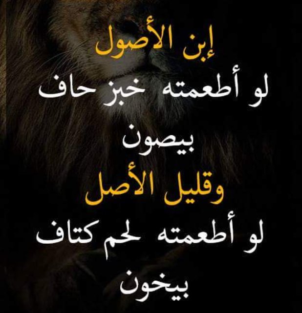 قصيدة عن قلة الاصل