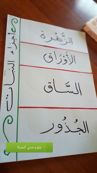مطويات علوم ثالث ابتدائي ١
