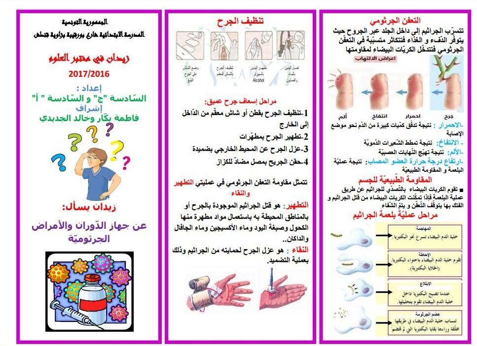 مطوية عن جهاز الدوران3
