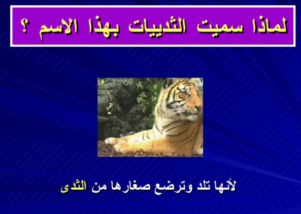مطويات عن الثدييات 3