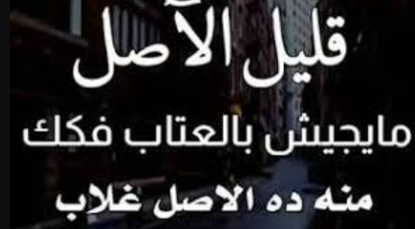 بوستات عن قلة اصل الصحاب