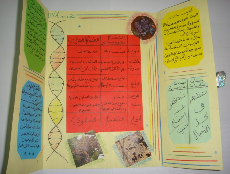 اشكال مطويات علوم4