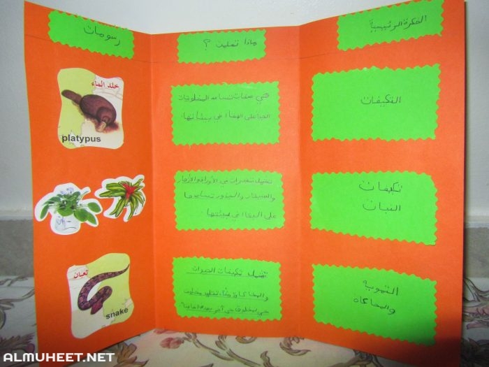 مطويات رياضيات ثاني ابتدائي 4
