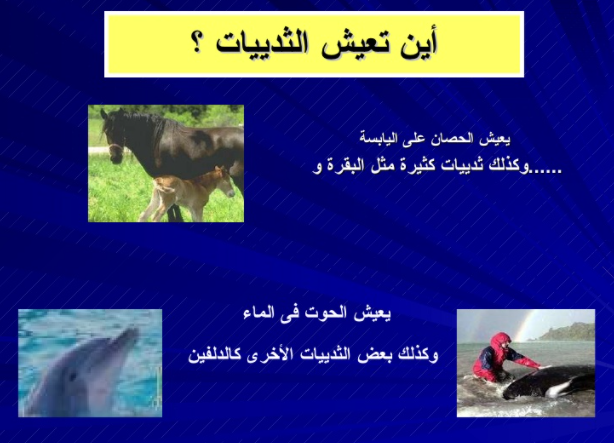 مطويات عن الثدييات 4