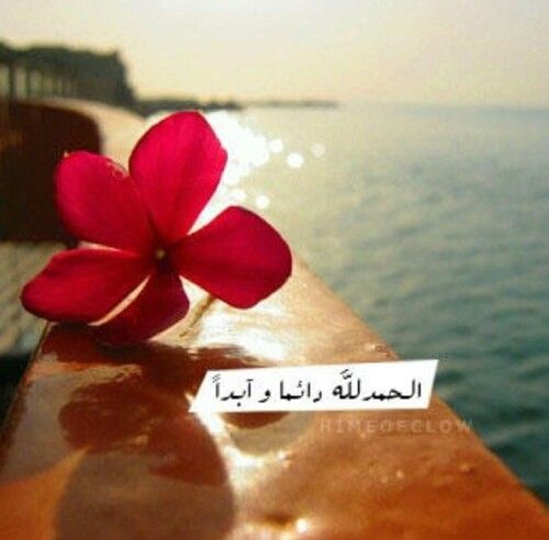 الحمد لله دائما وابدا تويتر