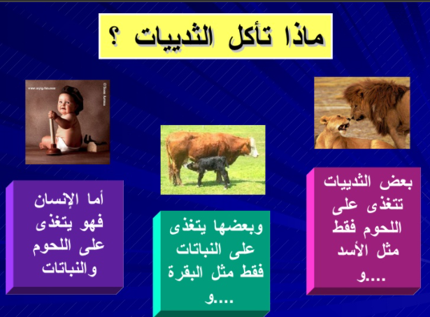 مطويات عن الثدييات 5