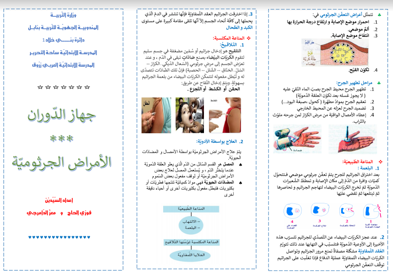 مطوية عن جهاز الدوران5