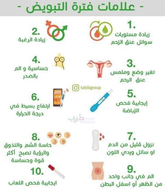 علامات نزول البويضة بالصور ١