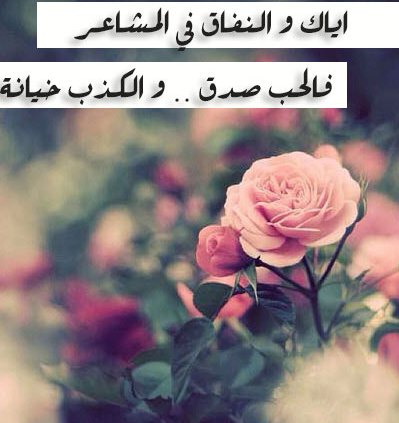 حالات عن خيانة الزوج لزوجته1