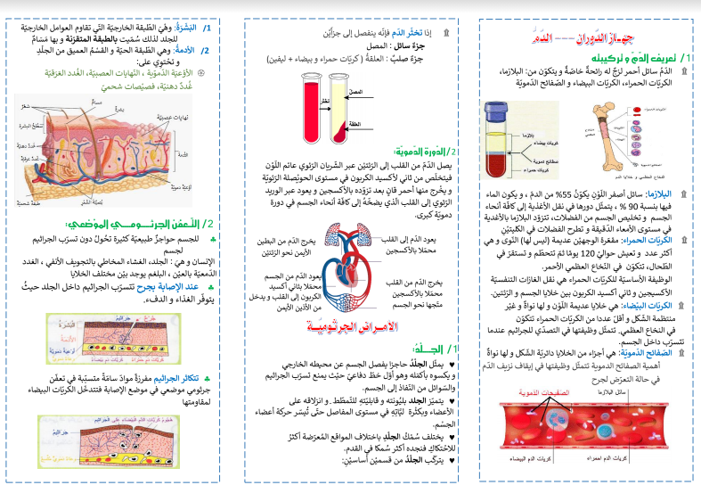 مطوية عن جهاز الدوران