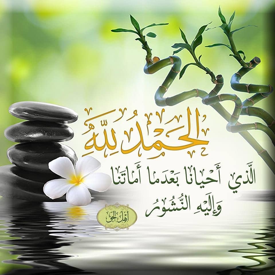 حديث الحمد لله الذي أحيانا بعدما أماتنا وإليه النشور