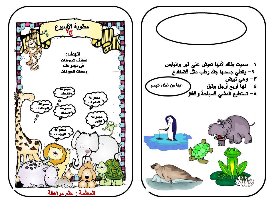 مطوية عن الماء للاطفال2