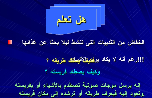 مطويات عن الثدييات8