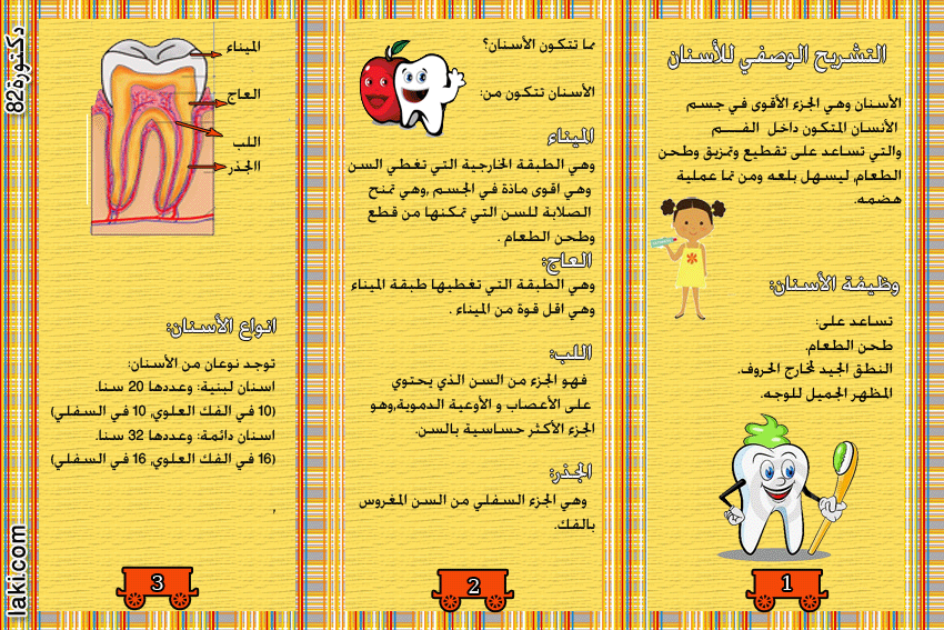 مطويات عن صحة الفم والاسنان3