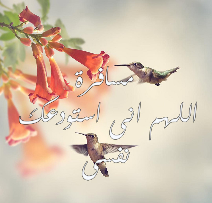 حالات عن السفر والوداع