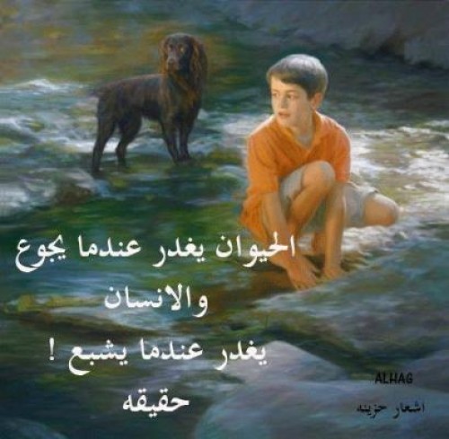 رسائل غدر وخيانة قوية