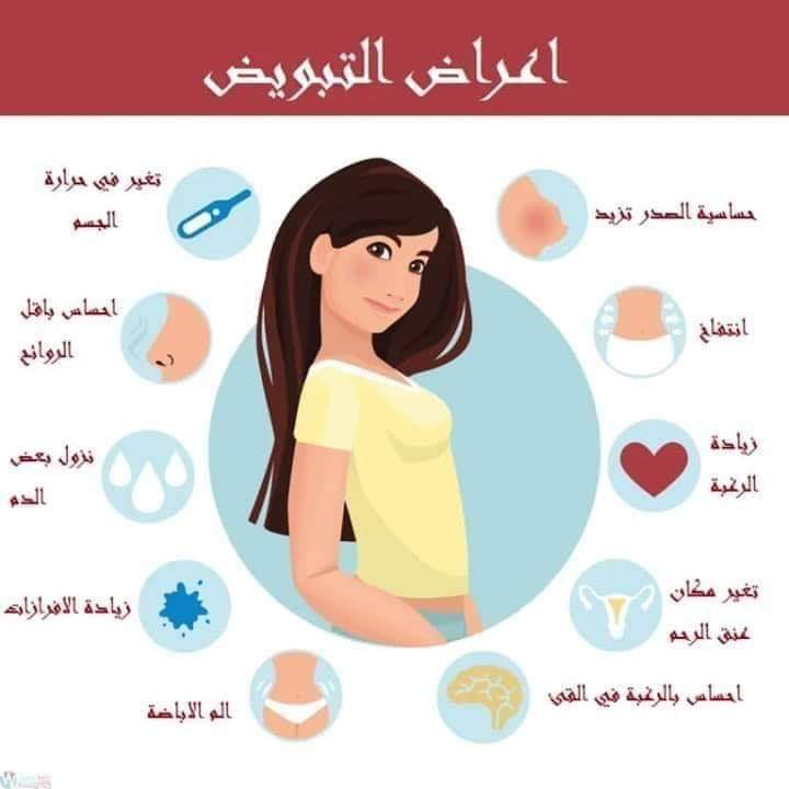 علامات نزول البويضة بالصور ٢