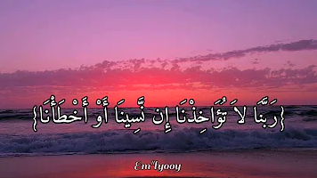 ربنا لا تحملنا مالا طاقة لنا به حالات واتس 3