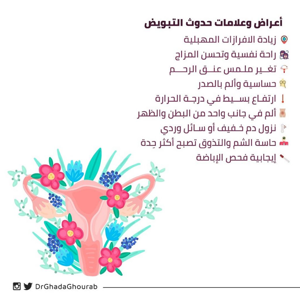 علامات نزول البويضة بالصور ٤