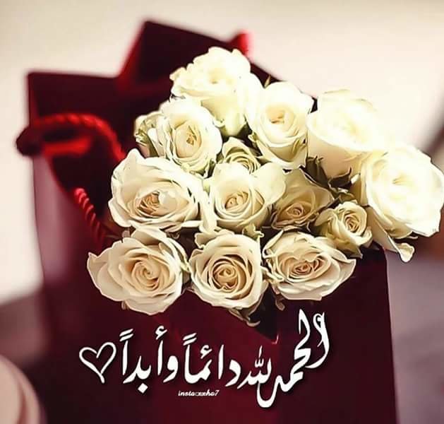 الحمد لله دائما وابدا