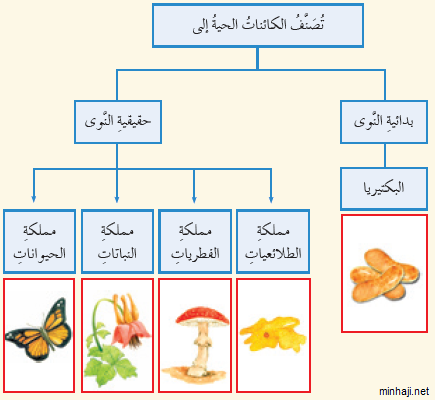 مطويات عن الكائنات الحية ٤