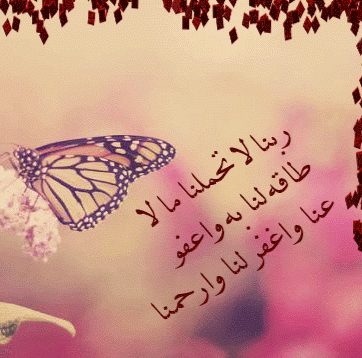 ربنا لا تحملنا مالا طاقة لنا به حالات واتس 2