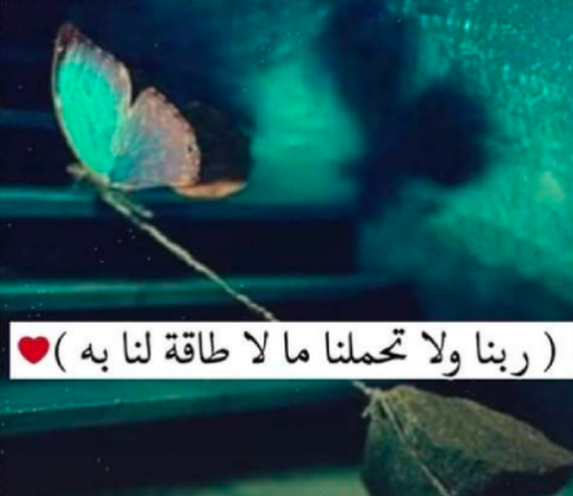 ربنا لا تحملنا مالا طاقة لنا به حالات واتس 5