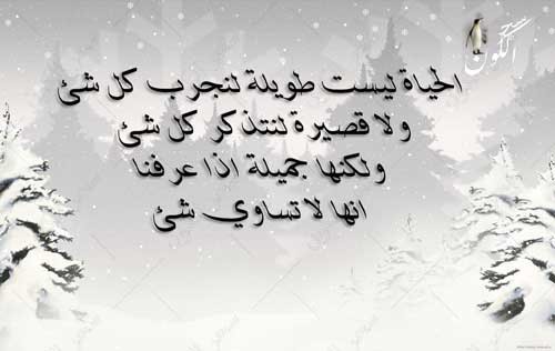 شعر عن الحياة