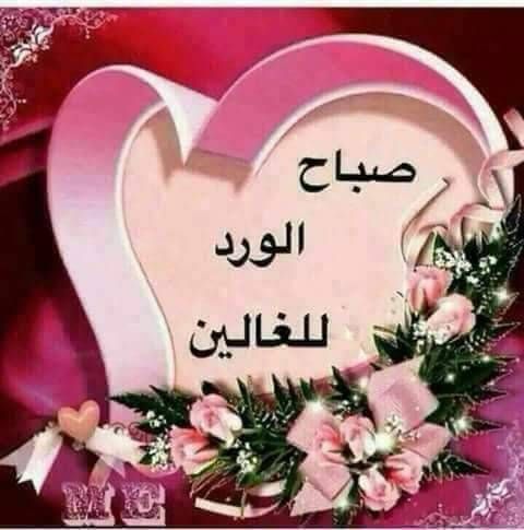 صباح الورد للغاليين
