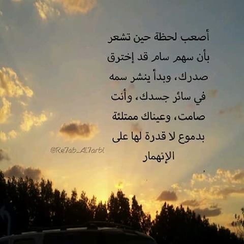 سيرة ذاتية للفيسبوك