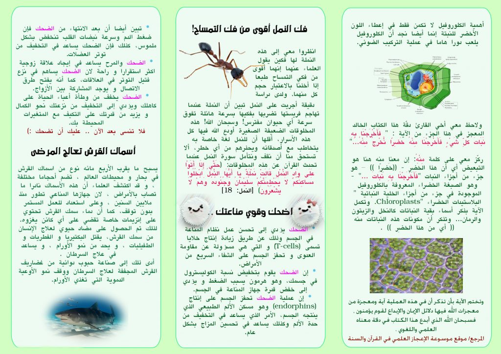 مطويات عن مادة العلوم - مطويات علوم سادس ١