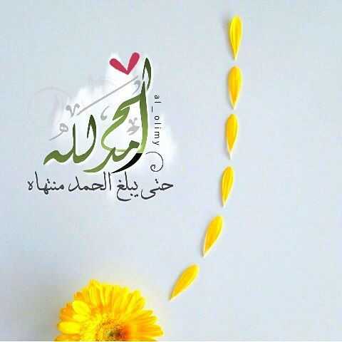 ما صحة القول الحمد لله حتى يبلغ الحمد منتهاه