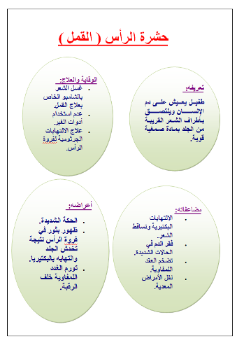 مطويات عن نظافة الشعر3