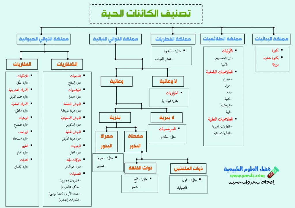 مطويات عن الكائنات الحية ٩