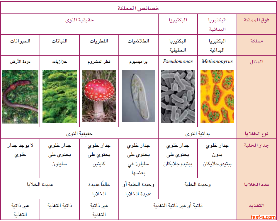 مطويات عن الكائنات الحية ٥