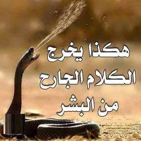 عبارات عن الكلام الجارح