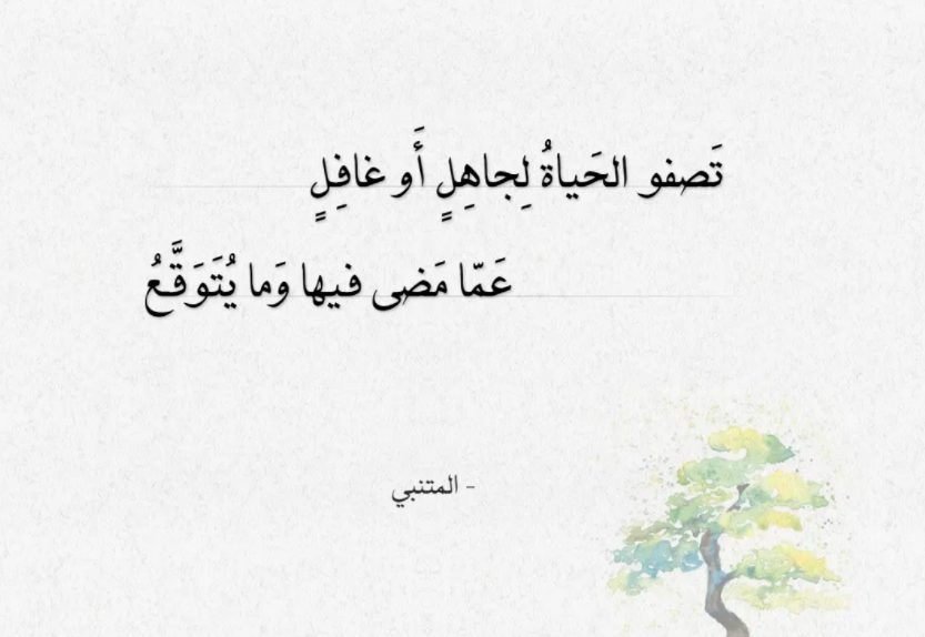 ابيات شعر للمتنبي عن الحياة