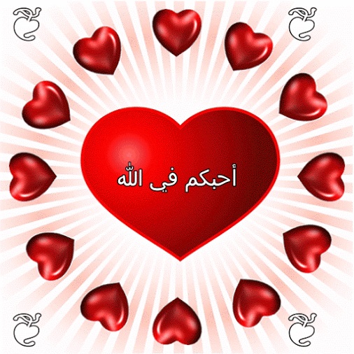 كلام جميل لشخص تحبه في الله تويتر