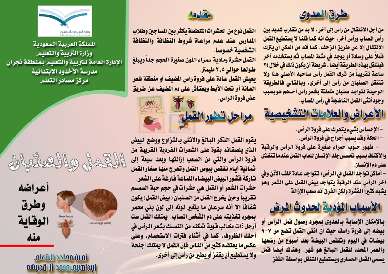 مطويات عن نظافة الشعر4