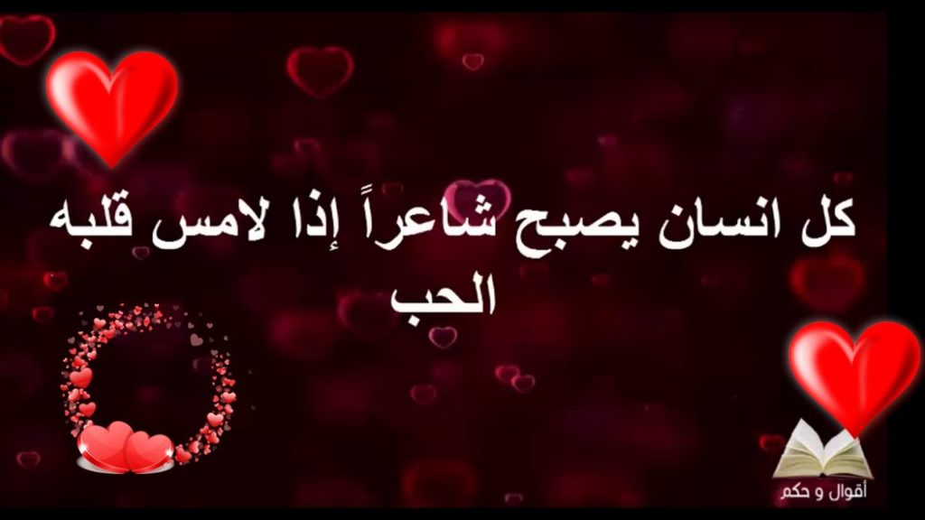سيرة ذاتية للفيس حكم