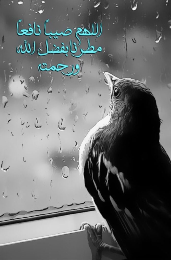 اللهم صيبا نافعا مطرنا بفضل الله ورحمته