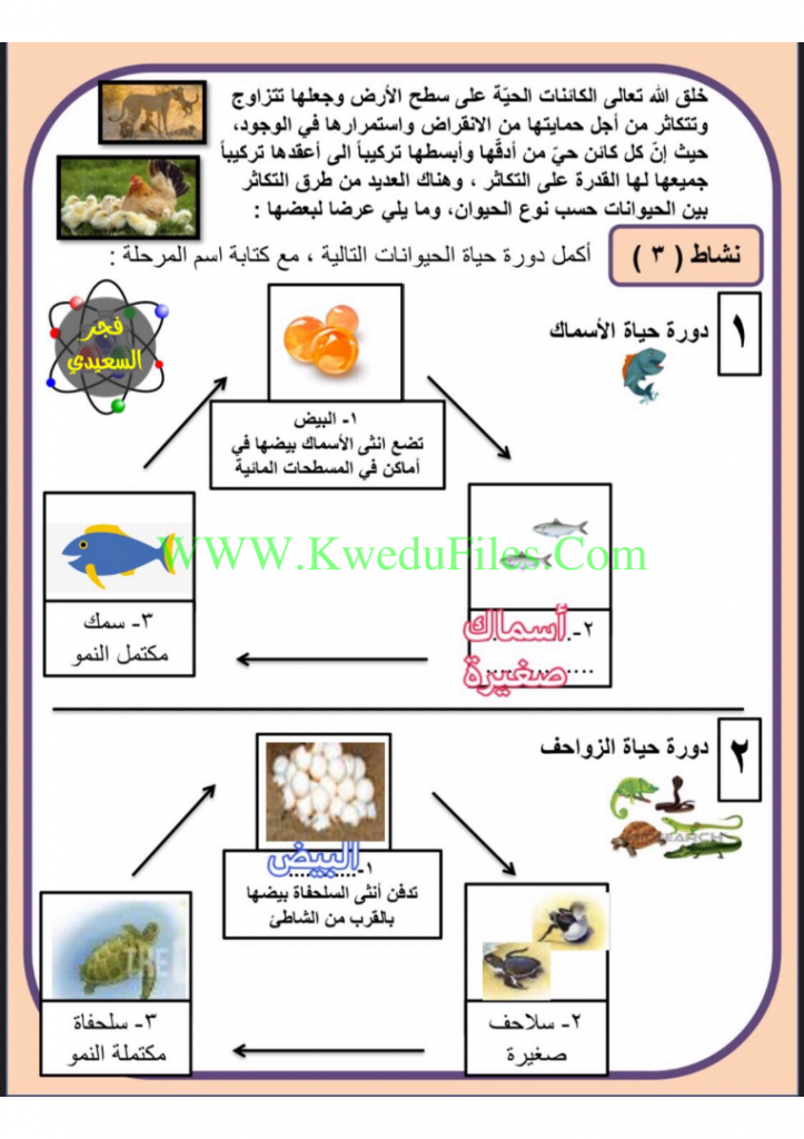 مطويات للعلوم ٣