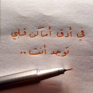 سيرة ذاتية للفيس روشة