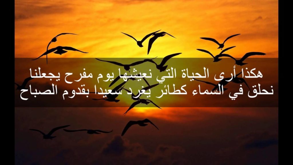 شعر عن الأمل والنجاح